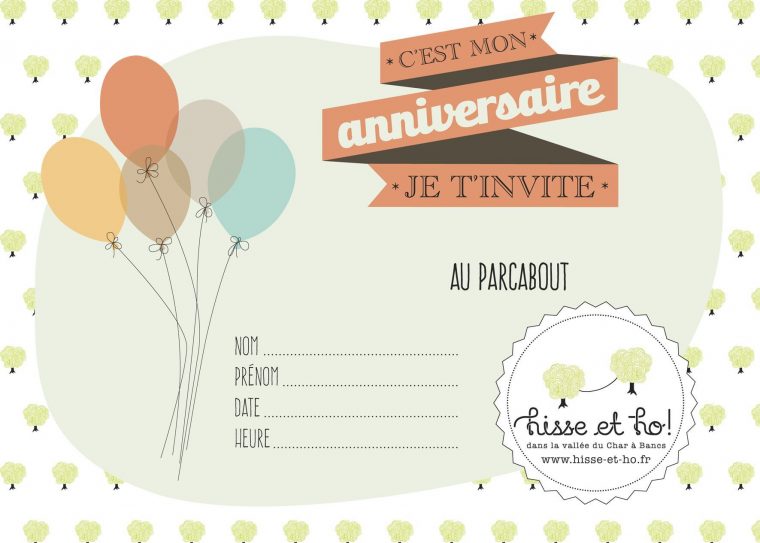 Idée Invitation Anniversaire 11 Ans Fille à Invitation Anniversaire Fille