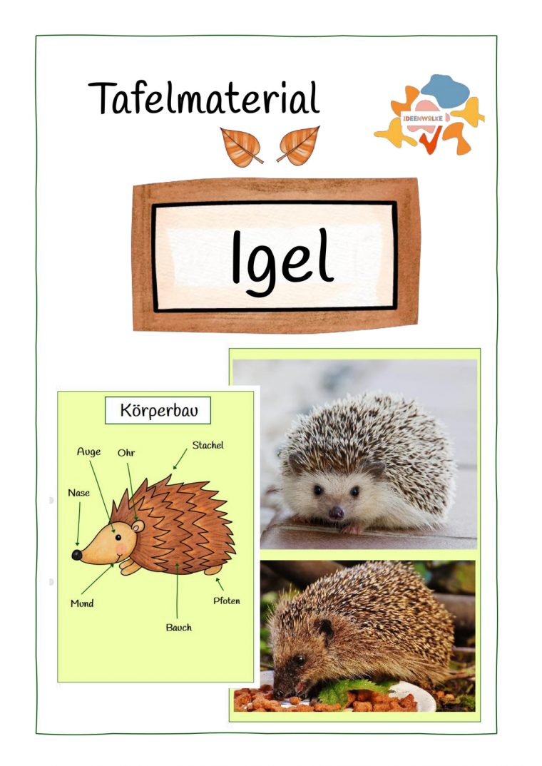 Igel Sachkunde Grundschule – Carl Winslow Grundschule pour Thema Igel In Der Grundschule