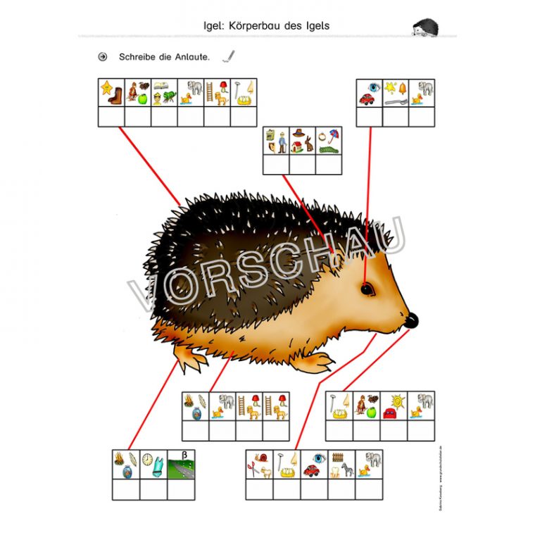 Igel-Werkstatt Für Die Grundschule dedans Thema Igel In Der Grundschule