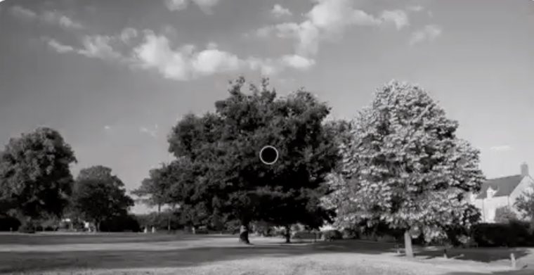 Illusion D'Optique : Cette Photo En Noir Et Blanc Apparaît tout En Couleur