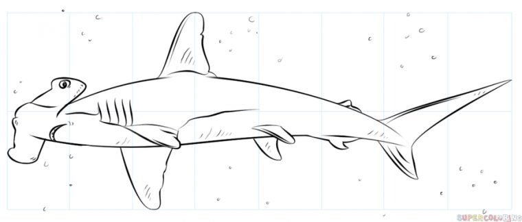 Imprimer Dessin Requin Facile Pics – Lesgenissesdanslmais serapportantà Dessin De Requin Facile