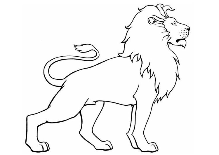 Inspiration Lion Dessin Facile Animaux Sauvage – Angie dedans Dessiner Un Lion Facile