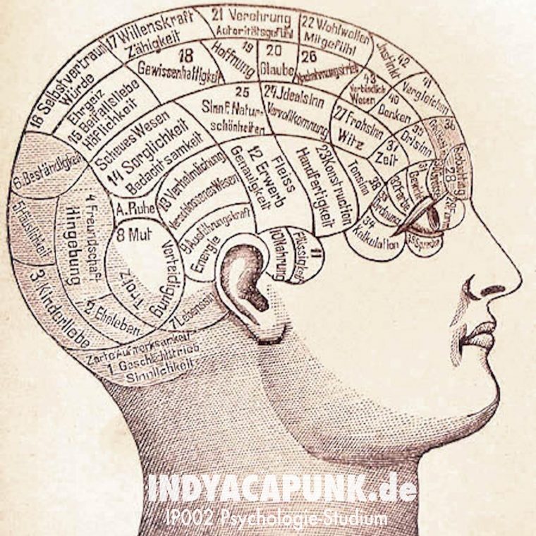 Ip002 Psychologie-Studium | Indyacapunk – Psychologie Podcast serapportantà Bedeutung Der Tiere In Der Psychologie