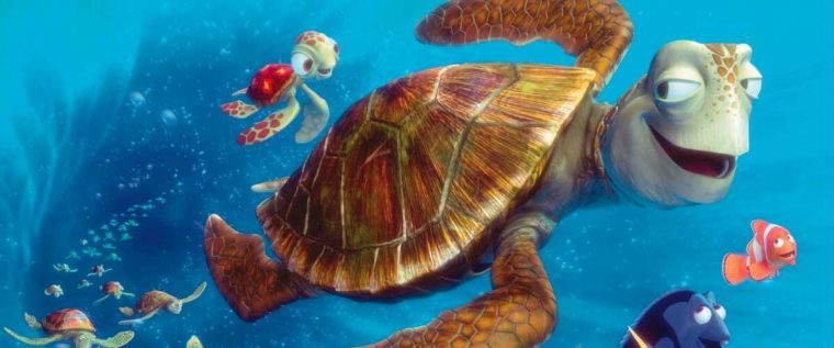 Le Voyage Extraordinaire De Samy (W9) : Les Tortues Les serapportantà Coloriage Samy La Tortue