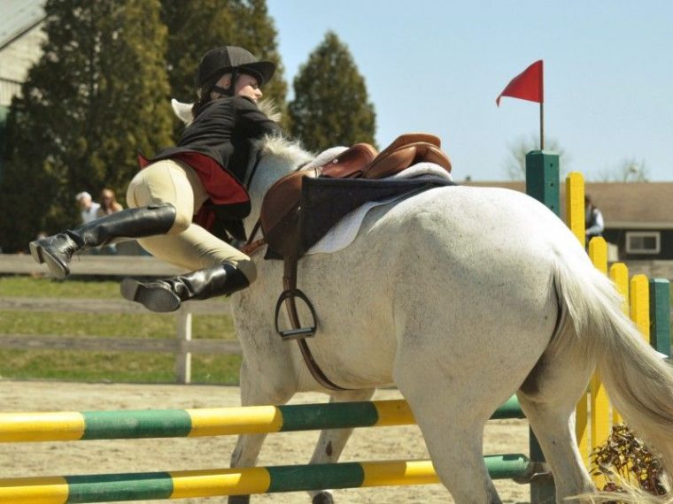 Les Fonds D'Écran – Un Cheval Blanc Qui Refuse Un Obstacle pour Coloriage Cheval Qui Saute Un Obstacle