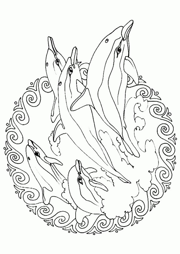 Mandala Dauphin, À Colorier | Coloriage Mandala, Mandala pour Mandala Dauphin A Imprimer