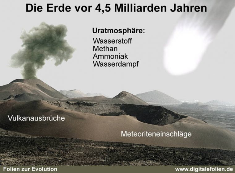 Mediendatenbank Biologie, Evolution à Erste Tiere Auf Der Erde