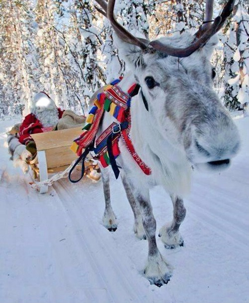 Père Noël Montages Photo [P. 8/8] – Pixiz concernant Montage Photo Pere Noel