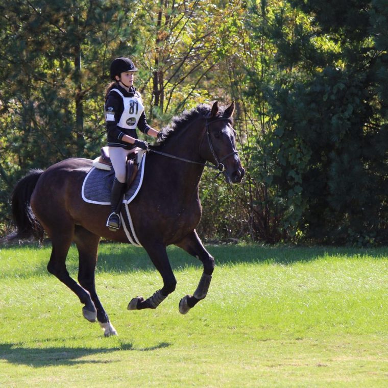 Photo De Saut D'Obstacles, Concours Complet – Photos De tout Coloriage Cheval Qui Saute Un Obstacle