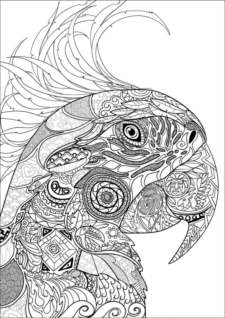 Pin On Coloring Pages serapportantà Coloriage Animaux Pdf