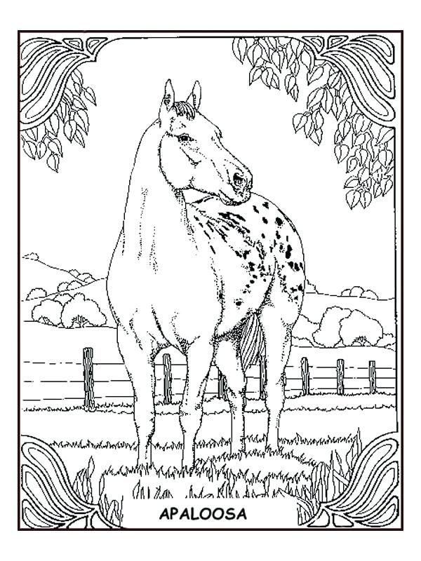 Pin On Livre De Coloriage intérieur Coloriage Cheval Dressage