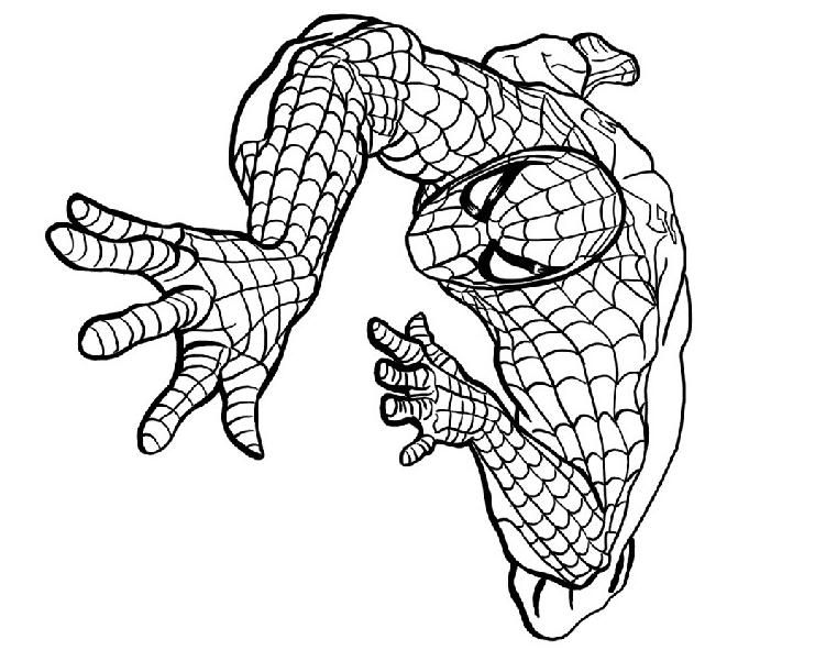 Pin On Mikes Office pour Coloriage Spiderman Noir