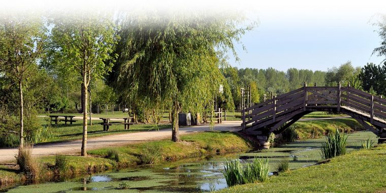 Pique-Nique Au Lac De Frace – Onvasortir! La-Rochelle pour Ovs Rochelle