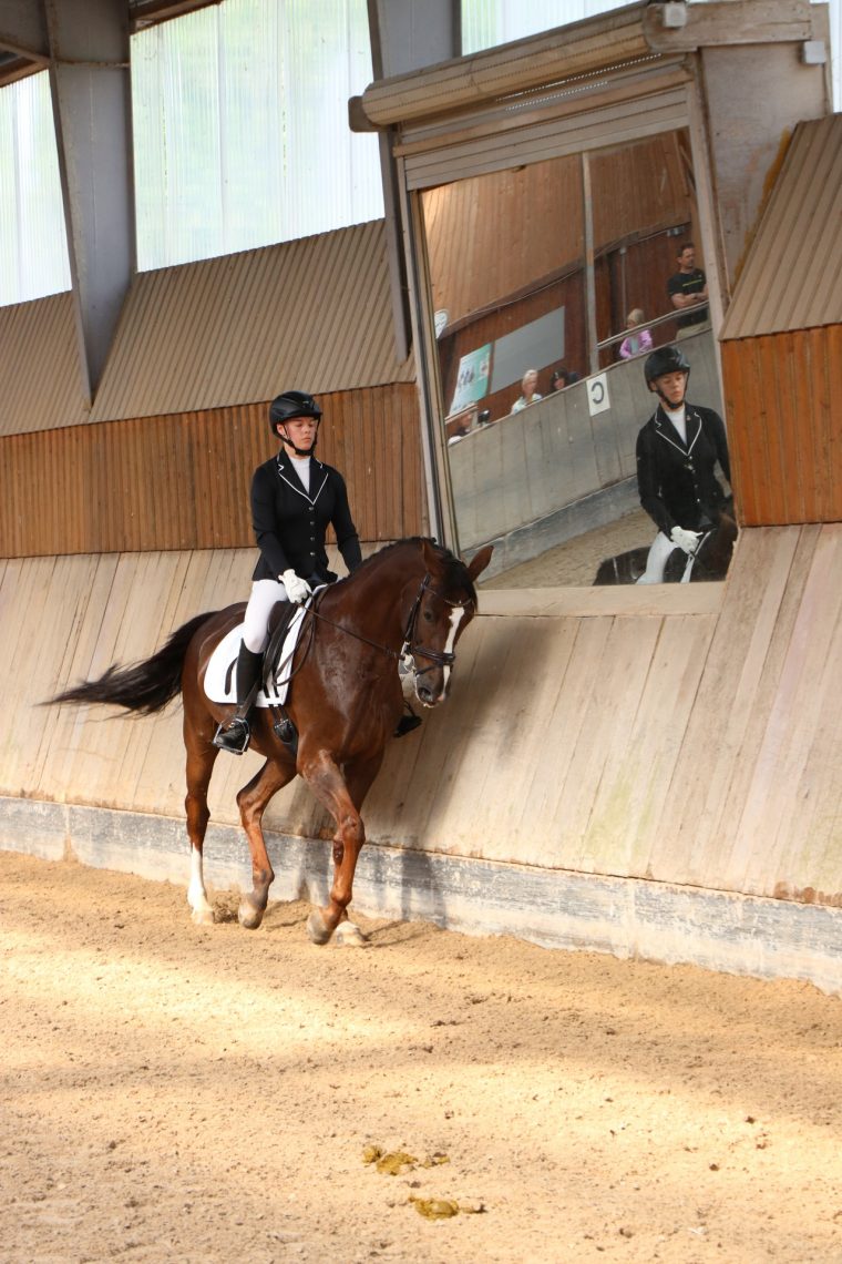 Reitabzeichen – Reitverein Leonberg dedans Kleines Reitabzeichen