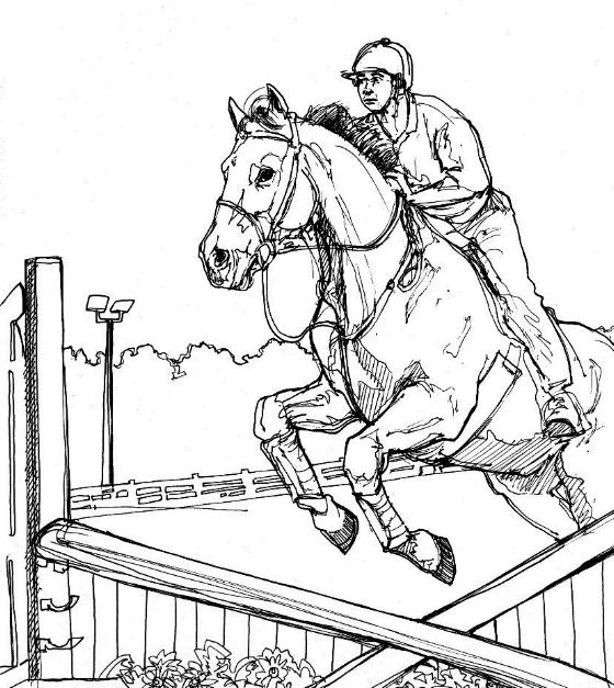 Show Jumping Horse Coloring Pages At Getcolorings intérieur Coloriage Cheval Dressage