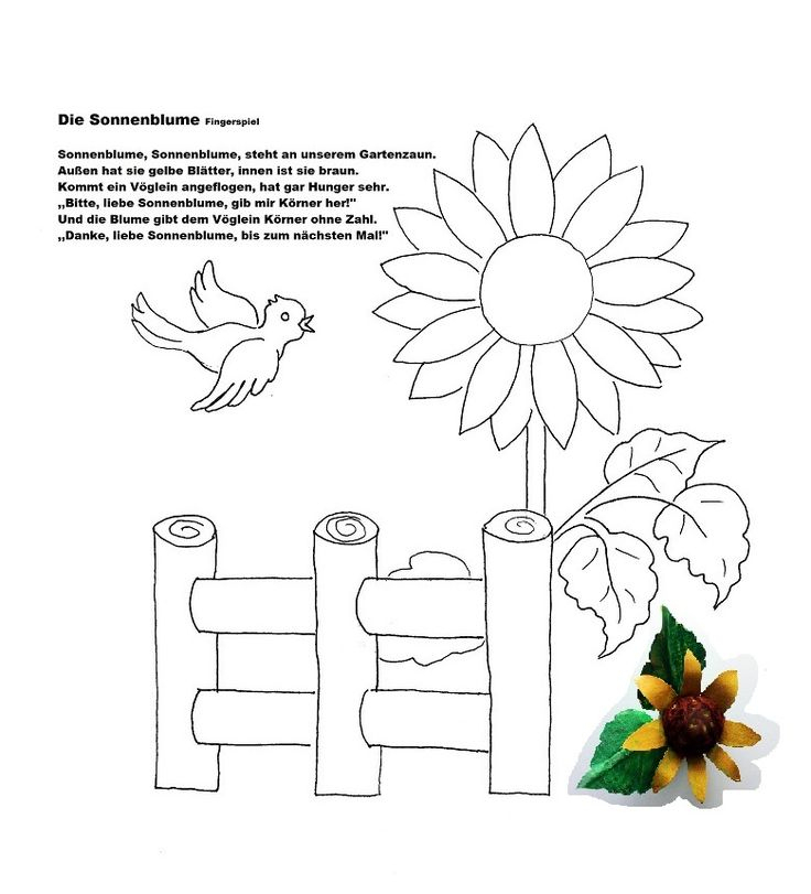 Sprachförderung Mit Kindern – Die Sonnenblume serapportantà Erntedank Grundschule