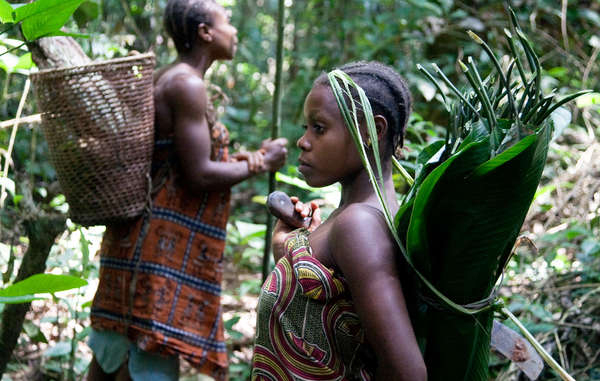 Survival International Wirft Wwf Verwicklung In Gewalt Und à Ureinwohner Südamerika