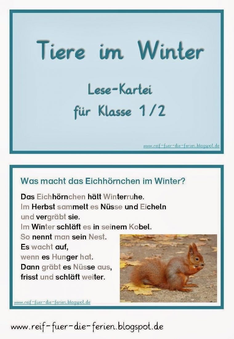 Tiere Im Winter – Lesekartei | Reif Für Die Ferien, Wald avec Vögel Im Winter Arbeitsblätter