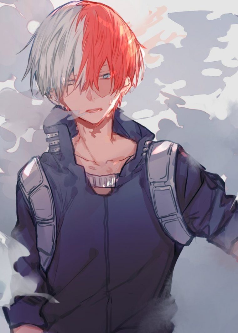 Todoroki Shouto | Héro Academia, Personnages D'Animés, My intérieur Dessin My Hero Academia Shouto