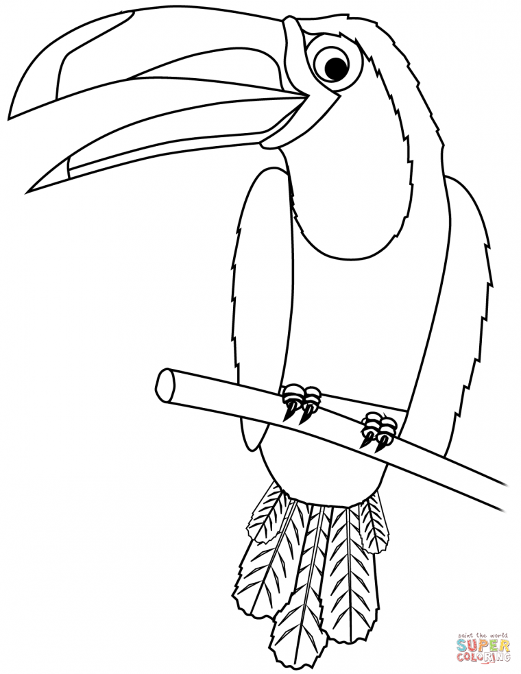 toucan coloring page