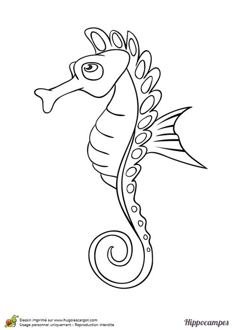 Un Hippocampe Sous La Mer, À Colorier | Coloriage tout Hippocampe Stylisé