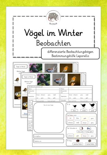 Vögel Im Winter Beobachten: Vögel Am Futterhaus Bestimmen dedans Vögel Im Winter Arbeitsblätter