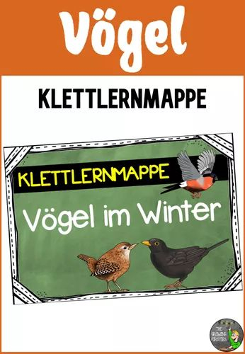 Vögel Im Winter – Klettlernmappe – Unterrichtsmaterial In destiné Vögel Im Winter Arbeitsblätter