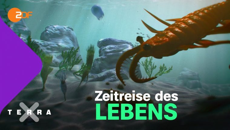 Wie Sich Die Vielfalt Der Lebewesen Auf Der Erde intérieur Erste Tiere Auf Der Erde