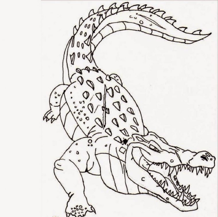 crocodile coloring page