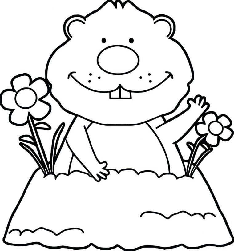 groundhog coloring page