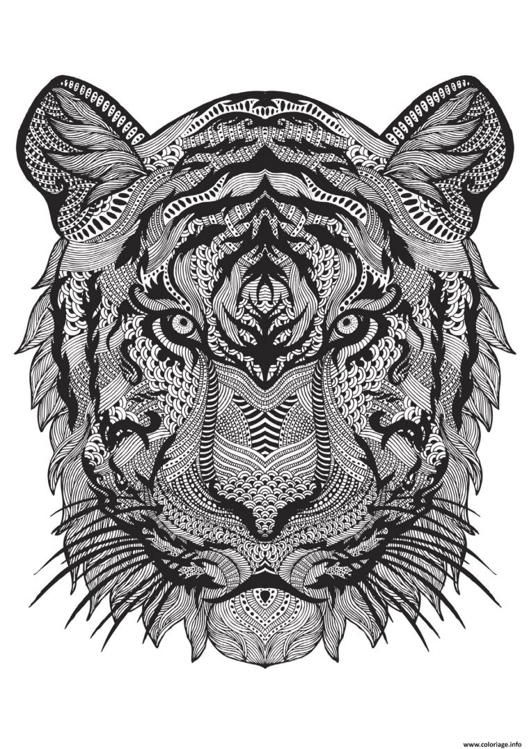 Coloriage Adulte Animal Tigre Difficile Antistress Dessin tout Coloriage À Imprimer Adulte