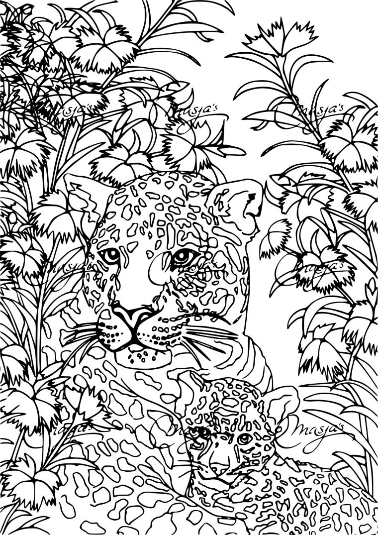 Coloriage Anti-Stress Tigre À Imprimer Sur Coloriages intérieur Coloriage À Imprimer Adulte