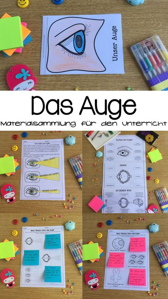 Das Auge- Materialsammlung (Arbeitsblätter, Übersichten concernant Aufbau Auge Grundschule