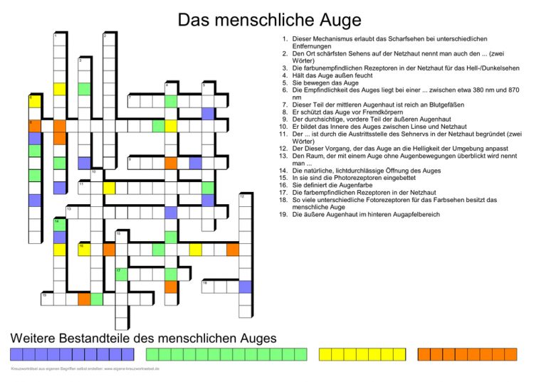 Das Menschliche Auge – Augustiner destiné Netzhaut Des Auges Kreuzworträtsel