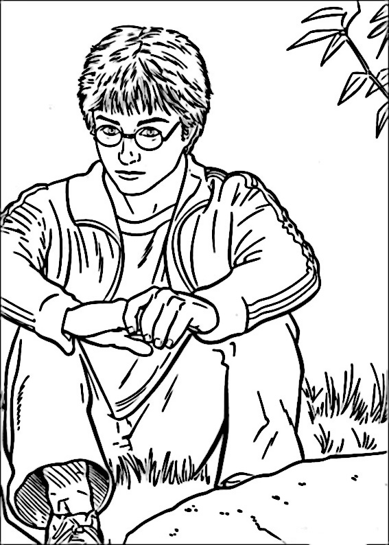 Dessin Á Imprimer Harry Potter 33 à Harry Potter Coloriage