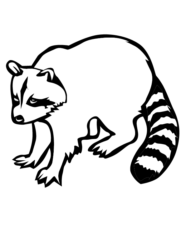 raccoon coloring page