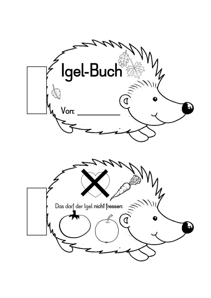 Igel-Buch Für Die 1. Klasse | Igel, Erste Klasse, Bücher concernant Arbeitsblätter Apfel Grundschule