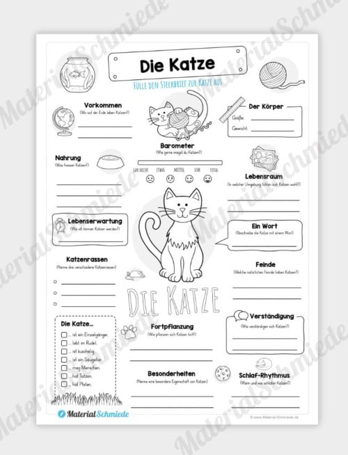 Katze Steckbrief Fortpflanzung | Kinder Ausmalbilder encequiconcerne Steckbrief Tier Vorlage