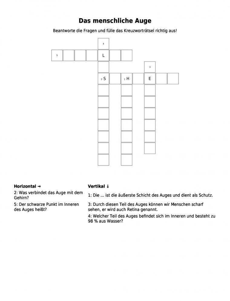 Kreuzworträtsel "Das Menschliche Auge" Als Pdf intérieur Netzhaut Des Auges Kreuzworträtsel