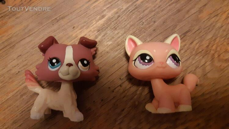 Littlest Petshop Jeu 【 Offres Avril 】 | Clasf dedans Jeux De Petshop Gratuit