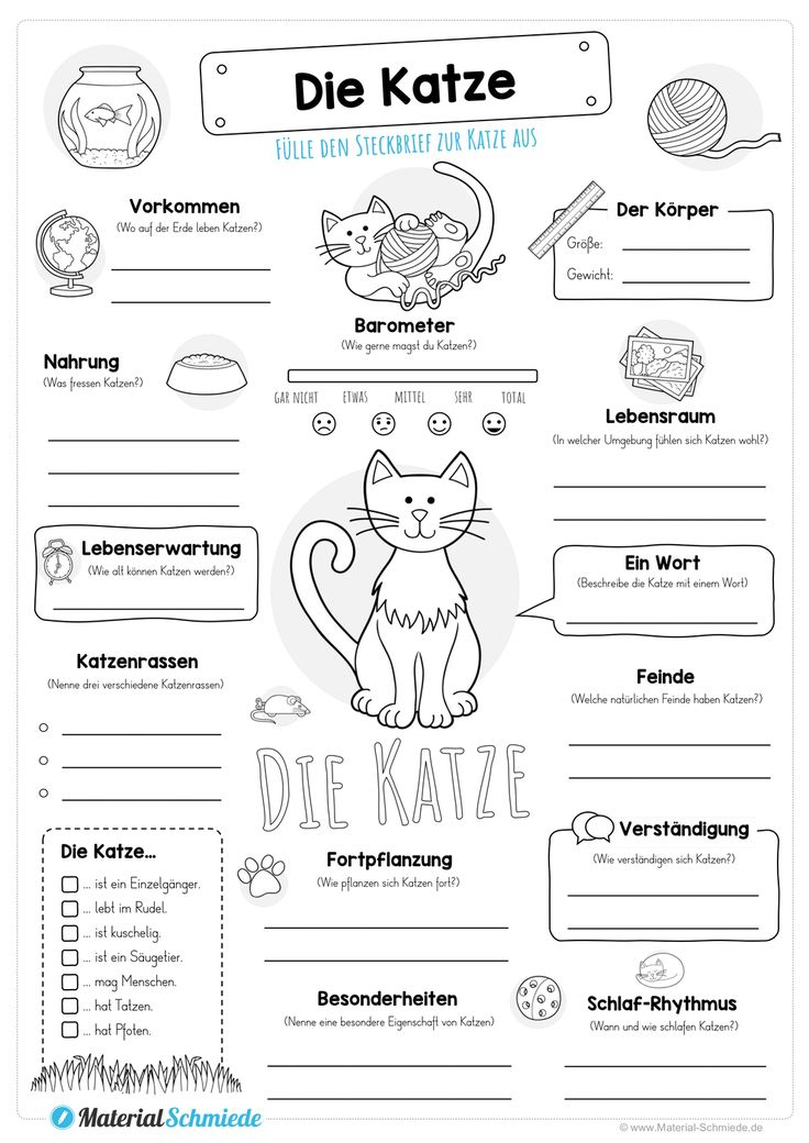 Steckbrief Katze – Unterrichtsmaterial In Den Fächern serapportantà Steckbrief Tier Vorlage