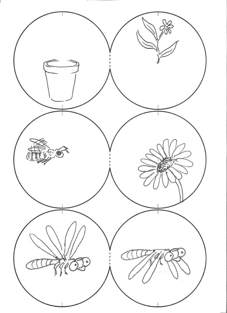 Thaumatropes_Les_Ateliers_De_La_Nature (2550×3507 serapportantà Fabriquer Un Flip Book