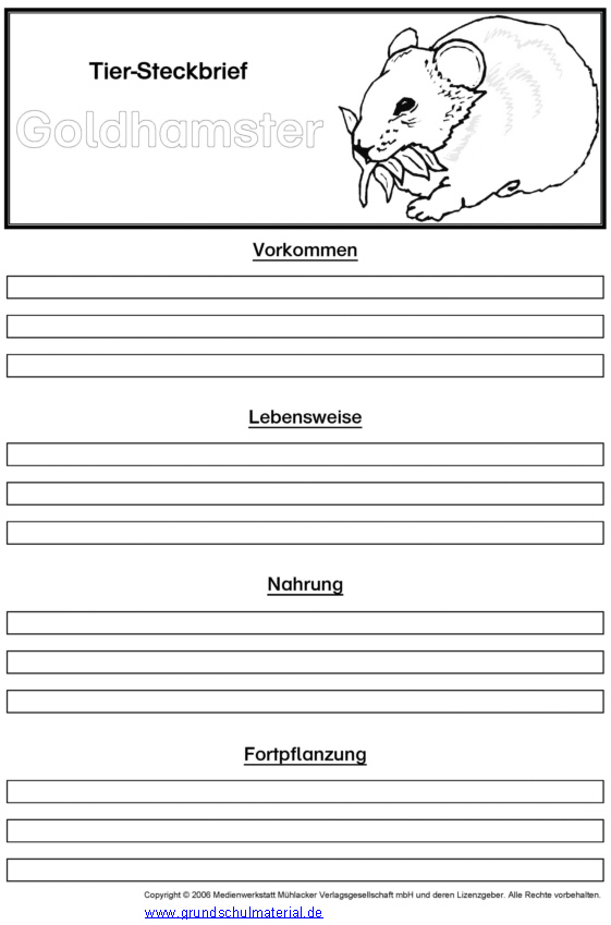 Vorlage Tiersteckbrief: Goldhamster – Medienwerkstatt tout Steckbrief Tier Vorlage