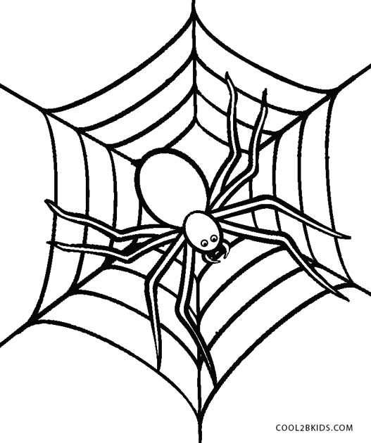 spider coloring page