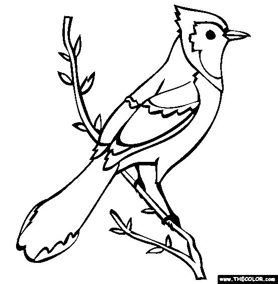 Bird Online Coloring Pages | Page 1 | Bird Coloring Pages intérieur Portraits (Coloriages Mysta¨res)Pdf