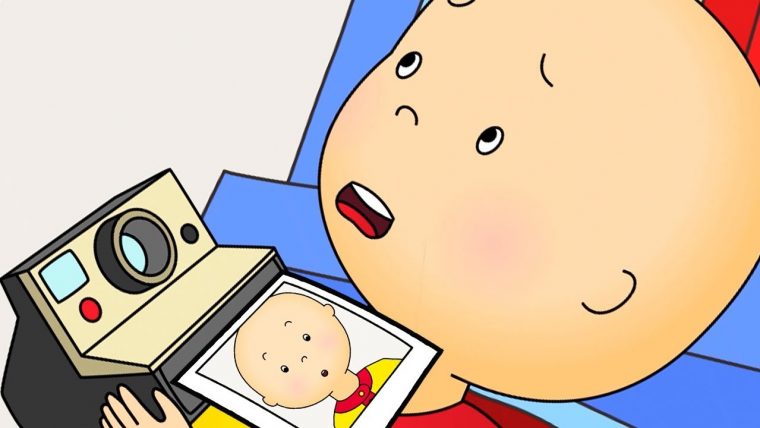 Caillou En Français | Caillou Le Photographe | Dessin encequiconcerne Cailloux En Francais Dessin Animes