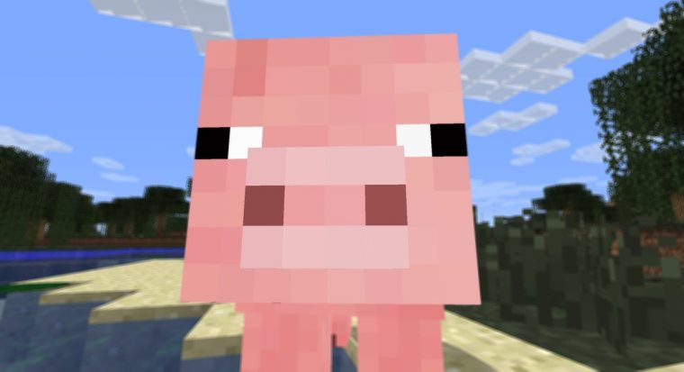 Cochon Dans Minecraft – Ohbq dedans Tchoupi Le Thug