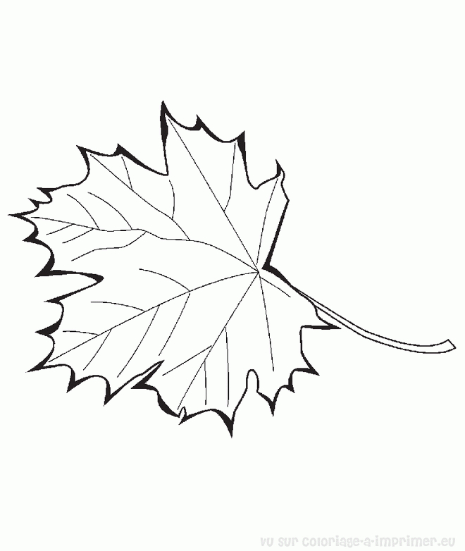 Coloriage À Imprimer Coloriage Feuille 010 destiné Dedessin Feuille Derable Pour Imprimer