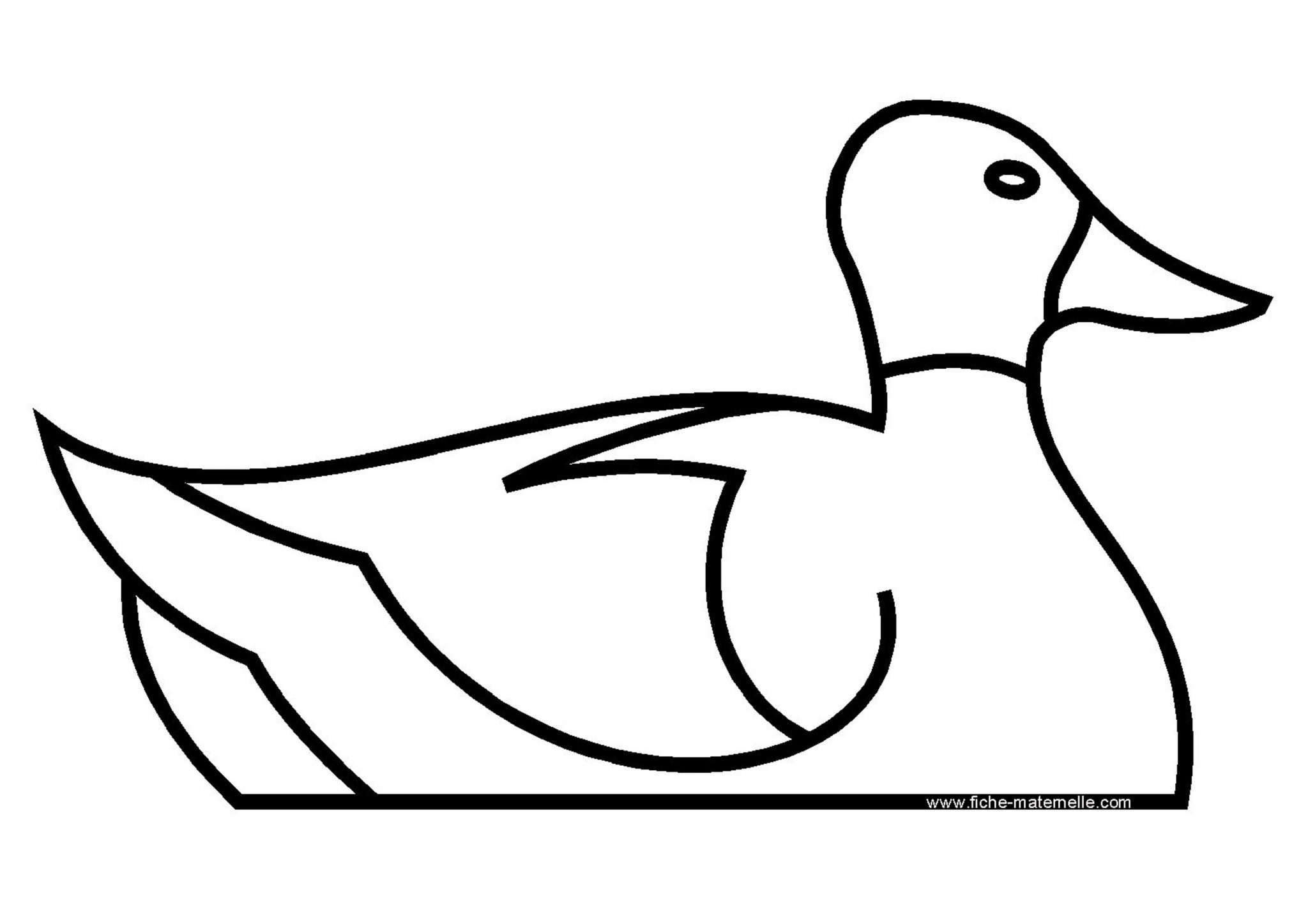 Coloriage Canard - Les Beaux Dessins De Animaux À Imprimer avec Dessin