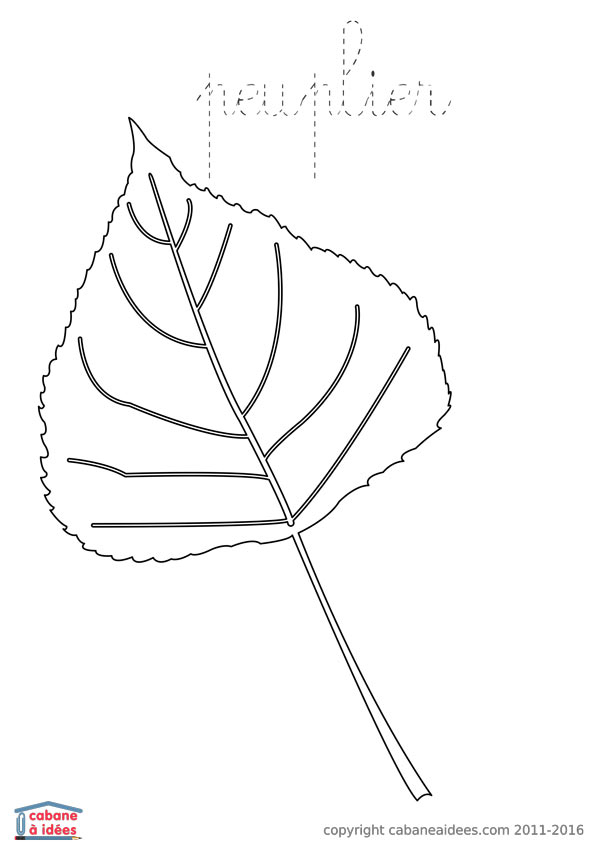 Coloriage Feuilles D'Arbre – Platane – Cabane À Idées destiné Dedessin Feuille Derable Pour Imprimer